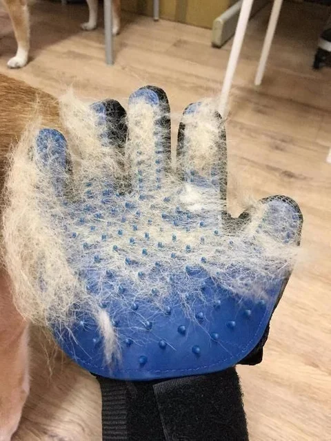 Рукавичка для вичісування шерсті тварин True Touch Pet Glove, 24 × 17 см
